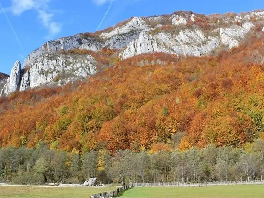 Baru: Cadrul natural și reperele turistice ale zonei