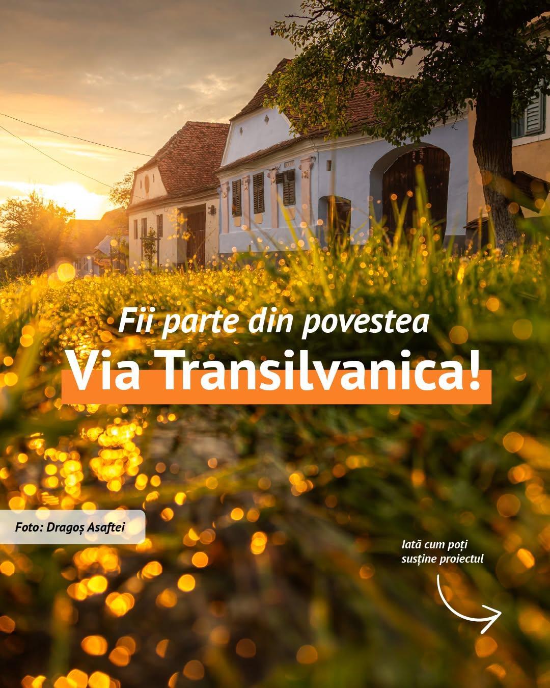 Thumb ads